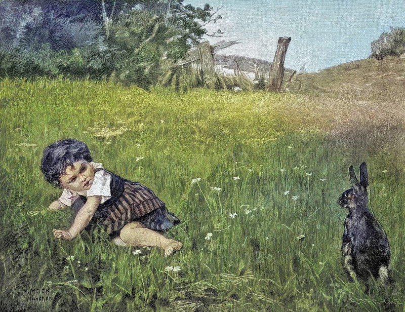 Hasenfuss, Hasenfüße, little girl lying in the meadow and watching a hare, for a painting by F. Mock, Germany, illustration, published 1890, reproduction, digitally enhanced, historical