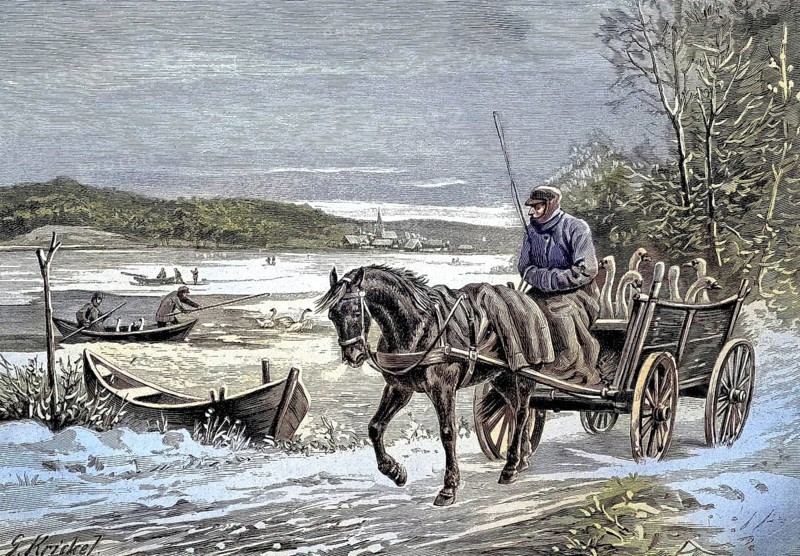 The capture and safe keeping of the Havel swans at sub-zero temperatures, Germany, original drawing by G. Krickel, illustration, published 1890, reproduction, digitally enhanced, Historical