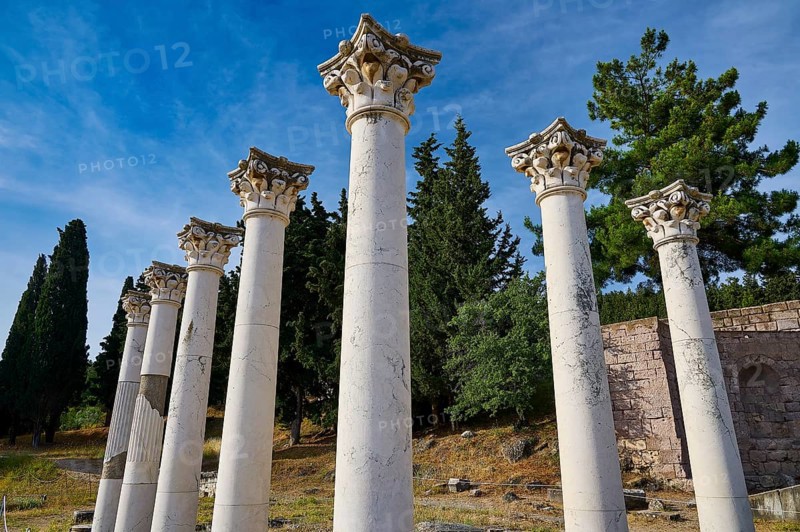 View of ancient columns with blossoming trees and blue sky in the background, Temple of Apollo, Corinthian Columns, Asklipion, Asklepieion, Healing Temple, Temple, Hippocrates, Kos, Dodecanese, Greek Islands, Greece