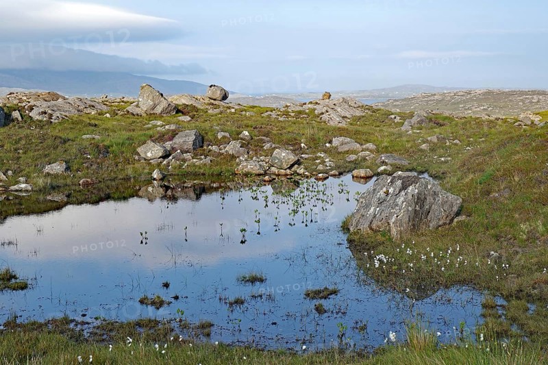 Small pond in a tranquil moorland landscape with rocks and clouds, Tarbert, Isle of Lewis, Hebrides, Scotland, United Kingdom
