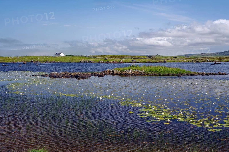 Landscape with water, water lilies and islands under blue sky with clouds, vastness, South Uist, Hebrides, Scotland, Great Britain