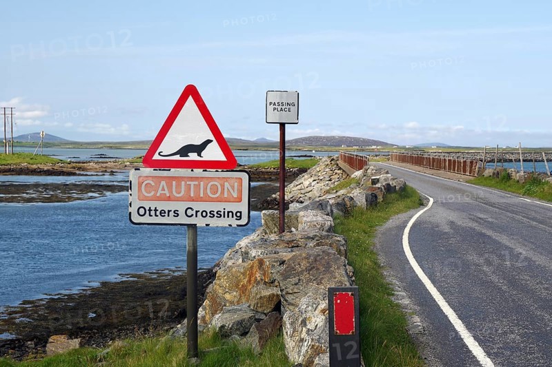 Road scene with otter crossing warning sign, coast and bridge in rural setting, causeway, Benbecula, cycle tour, North Uist, Hebrides, Scotland, Great Britain