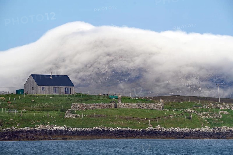 House on green meadow with sheep in front of misty hills on the coast, Benbecula, Hebrides, Scotland, Great Britain