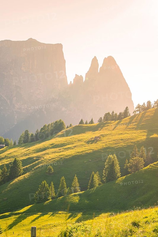 Lonely mountain peaks of the Schlehrn with green meadows and trees in the soft sunlight, Alpe di Siusi, Dolomites, South Tyrol, Italy