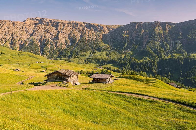 Alpine huts on a wide, sunlit meadow in front of steep mountain faces, Alpe di Siusi, Dolomites, South Tyrol, Italy