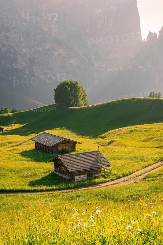 Two small wooden huts on a green meadow in front of impressive mountain cliffs, Alpe di Siusi, Dolomites, South Tyrol, Italy