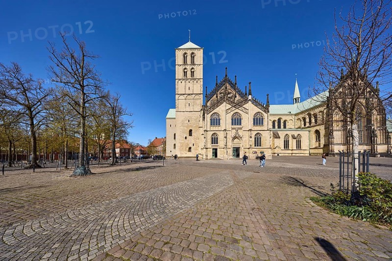 St Paul's Cathedral, Roman Catholic church, cathedral, Romanesque and Gothic architectural style, pedestrians as secondary motif, bare wintry trees, blue cloudless sky, square, cathedral square, Münster, Münsterland, independent city, North Rhine-Westphalia, Germany