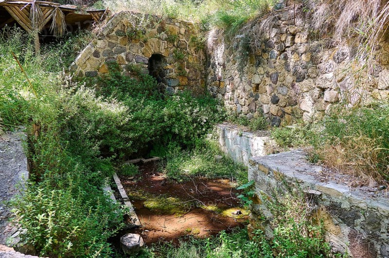 Spring, Poria spring, stone ruins overgrown with plants, impressive old wall structure, Antimacheia, medieval fortress, St John's fortress, Antimachia, Kos, Dodecanese, Greek Islands, Greece