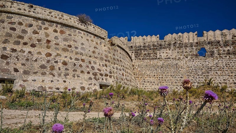 Fortress walls tower over the site, surrounded by flowering thistles, Antimacheia, Medieval Fortress, St John's Fortress, Antimachia, Kos, Dodecanese, Greek Islands, Greece