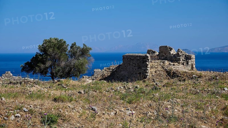 Stone ruins and a tree in front of a blue sea background, Antimacheia, Medieval fortress, St John's fortress, Antimachia, Kos, Dodecanese, Greek Islands, Greece