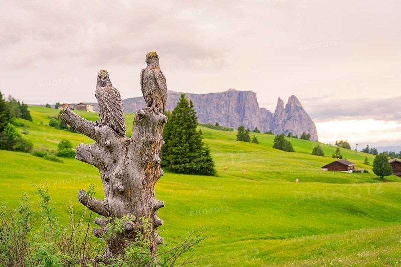 Two carved owls on a tree stump in a green hilly landscape with mountains, Alpe di Siusi, South Tyrol, Dolomites, Italy