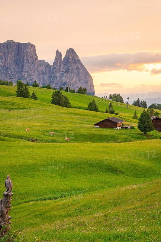 Green hills at sunset with wooden huts and mountains in the background, Alpe di Siusi, South Tyrol, Dolomites, Italy