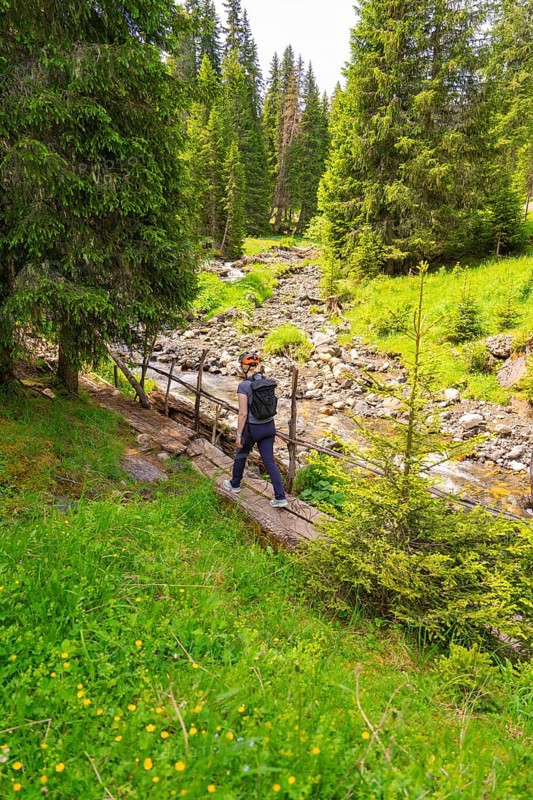Hiker crossing a footbridge along a forest stream amidst green trees, Alpe di Siusi, South Tyrol, Dolomites, Italy