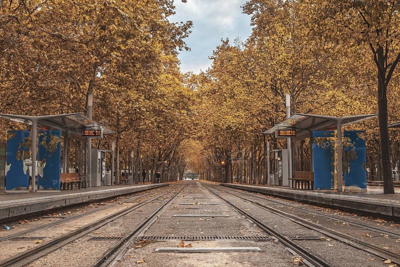 Empty tramway tracks in bordeaux city center during the fall season, with colorful trees lining the avenue