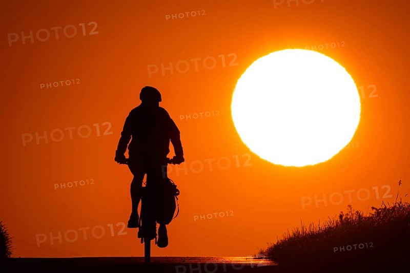 A bicycle rides at sunrise on a country lane near Frankfurt am Main, Frankfurt am Main, Hesse, Germany