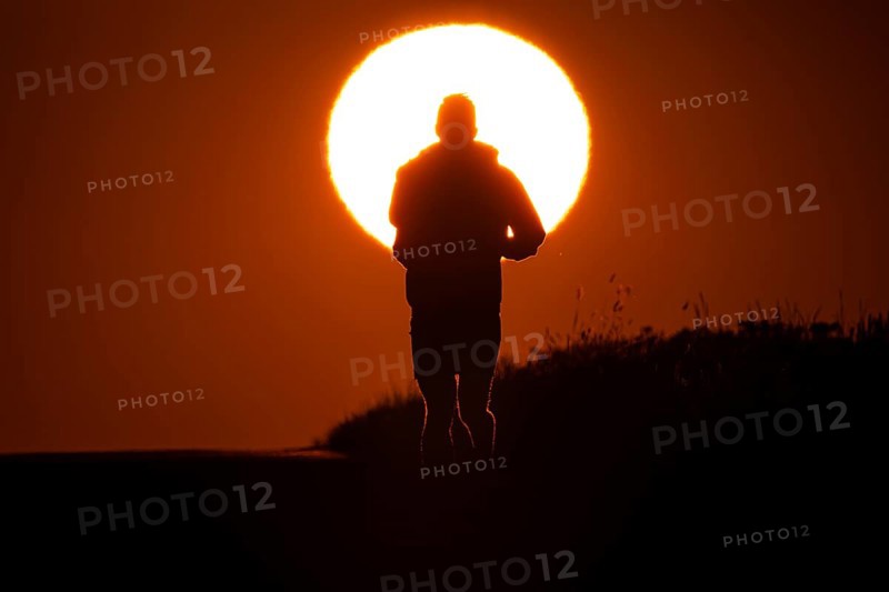 A jogger runs at sunrise on a country lane near Frankfurt am Main, Frankfurt am Main, Hesse, Germany