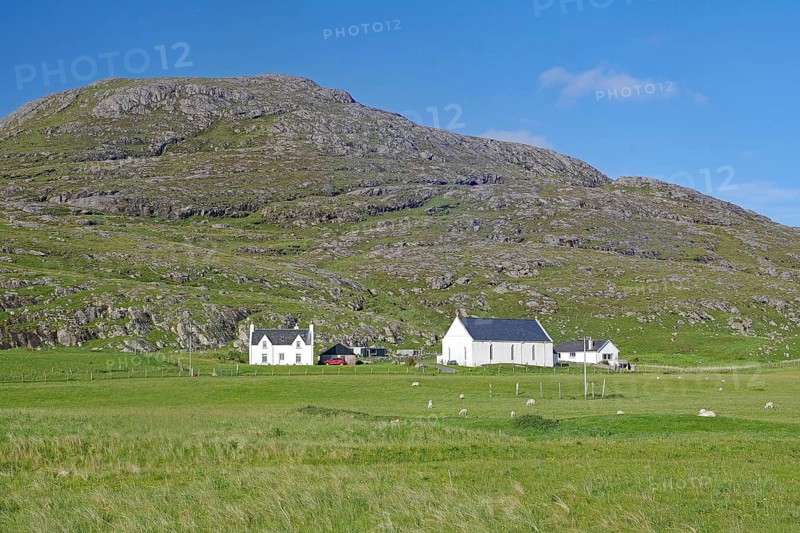 White houses stand in a green meadow with mountains in the background. Sheep grazing nearby, Barra, Hebrides, Scotland, Great Britain