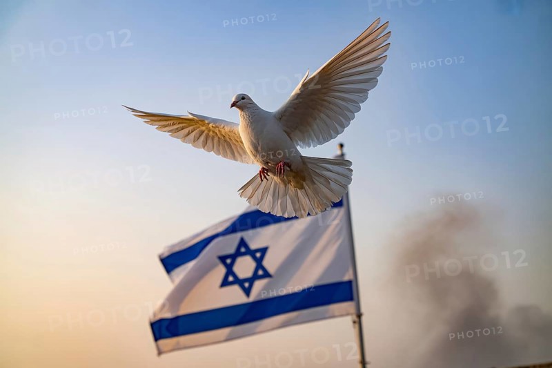 Peace dove soaring above Israeli flag. Symbol of hope in times of conflict. Generative ai, AI generated