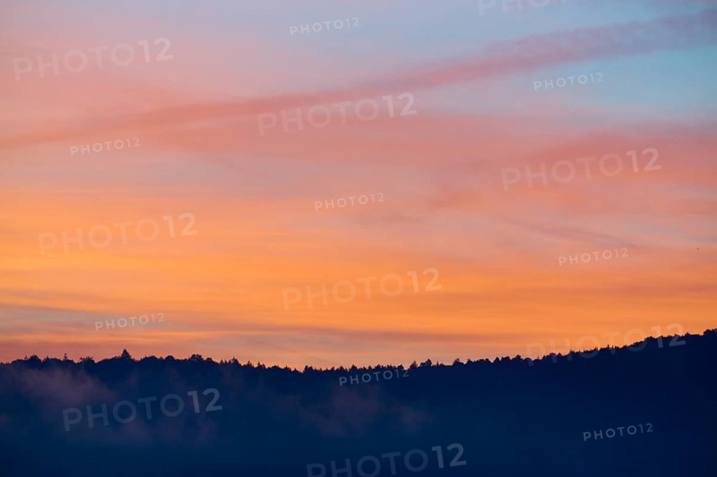 Silhouette of a forest at sunrise with orange-pink sky, Miltenberg, district Miltenberg, Spessart, Bavaria, Germany