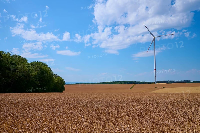Single wind turbine next to a spelt wheat field and forest under a blue sky, summer, Retzstadt, Main Spessart district, Bavaria, Germany