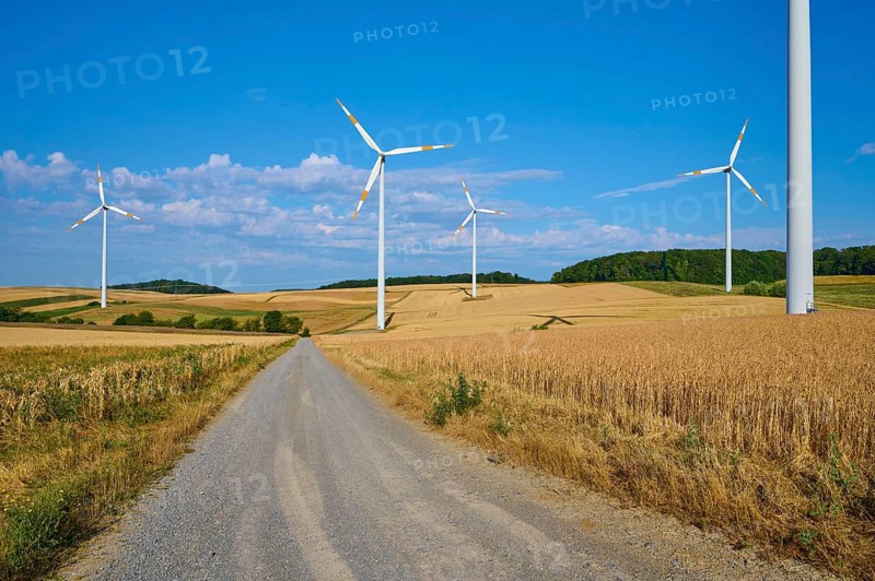 Wind turbines along a country lane in the middle of a quiet landscape, summer, Wenkheim, Werbach, Baden-Württemberg, Germany