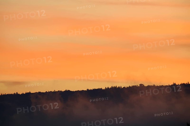 Foggy forest silhouette under an orange sunrise sky, Miltenberg, Miltenberg district, Spessart, Bavaria, Germany