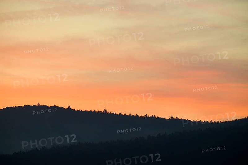 Forest silhouette under a pink sunrise sky with soft shadows, Miltenberg, Miltenberg district, Spessart, Bavaria, Germany