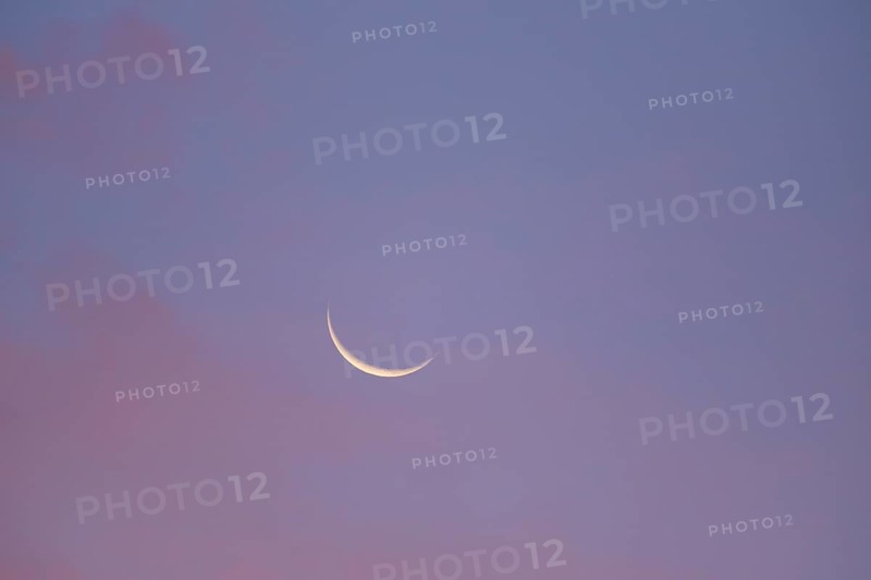 Narrow crescent moon in the blue and pink morning sky, Miltenberg, Miltenberg district, Spessart, Bavaria, Germany