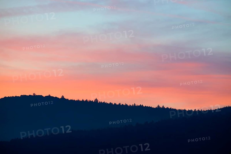 Blue-pink sky over hills at sunrise, silhouette of trees, Miltenberg, district Miltenberg, Spessart, Bavaria, Germany