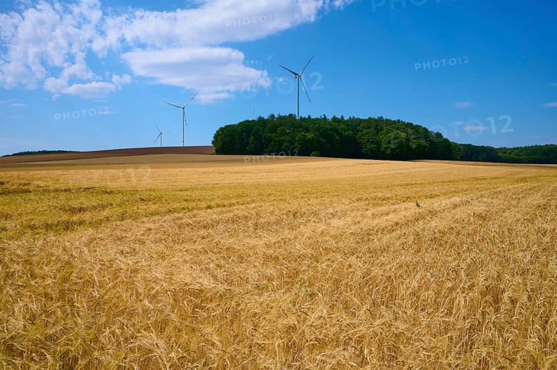 Wide barley field with wind turbines against a wooded background and blue sky, summer, Retzstadt, Main Spessart district, Bavaria, Germany