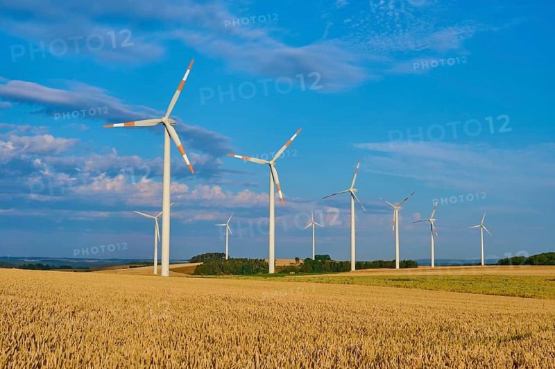 Wind turbines stand on a wide grain field under a light blue sky, summer, Höhefeld, Wertheim, Baden-Württemberg, Germany
