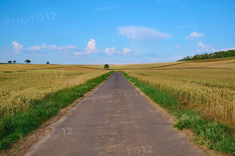 Long road through rolling fields under a blue sky with clouds in the background, summer, Höhefeld, Wertheim, Baden-Württemberg, Germany
