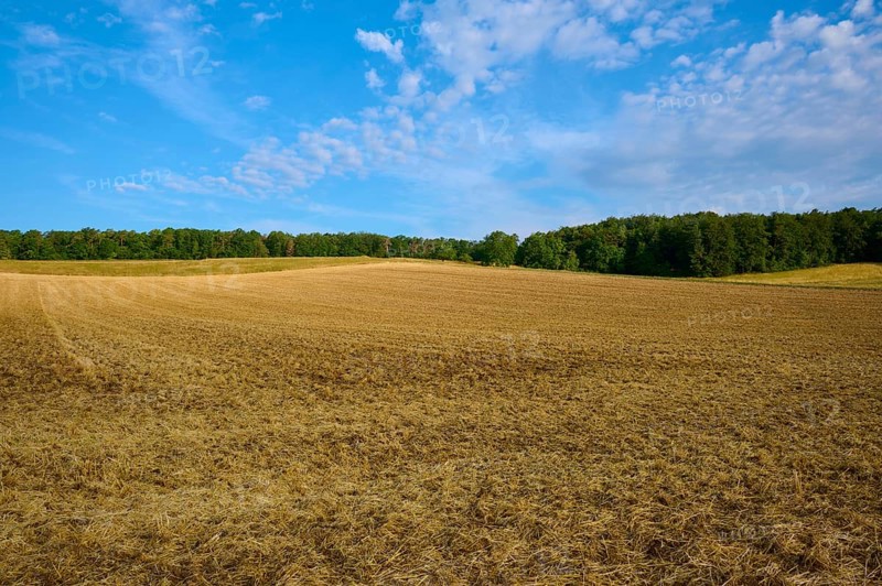 Empty, ploughed field with trees on the horizon under a partly cloudy sky, summer, Höhefeld, Wertheim, Baden-Württemberg, Germany