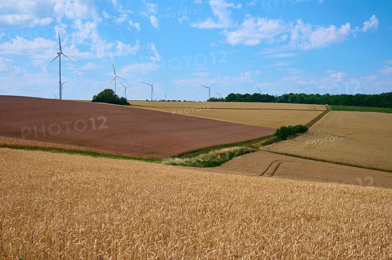 Gently rolling hills with windmills and cornfields under a sunny sky convey peace and harmony, summer, Arnstein, Main Spessart district, Bavaria, Germany