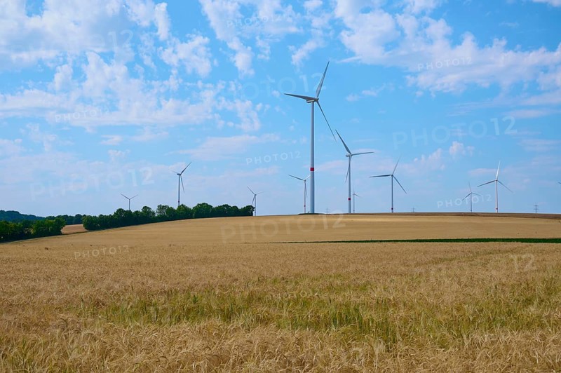 Several wind turbines stand on extensive grain fields under a clear blue sky, the vastness emphasises a peaceful atmosphere, summer, Arnstein, Main Spessart district, Bavaria, Germany