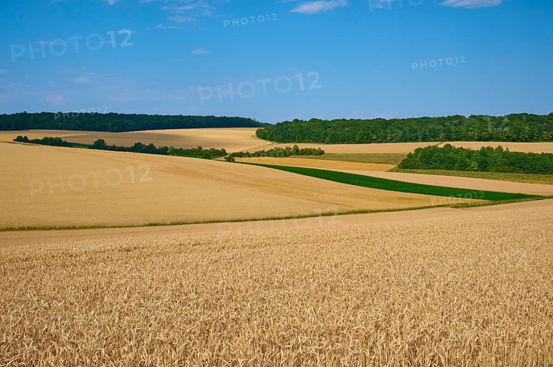 A wide panorama of grain fields and forests under a bright sky shows the natural beauty of the landscape, summer, Arnstein, Main Spessart district, Bavaria, Germany