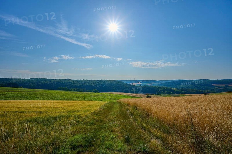 Landscape with fields and forest in the background, the sun shines in the blue sky, summer, Wenkheim, Werbach, Baden-Württemberg, Germany
