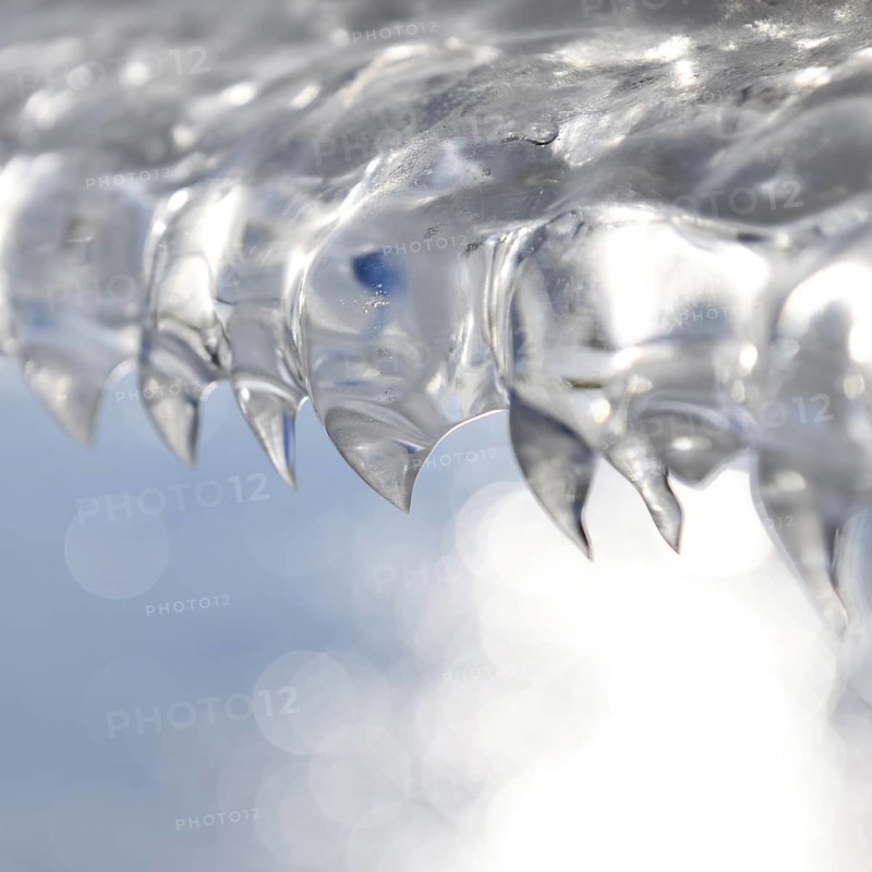 Shark teeth... Ice formations (winter flood 2020, 2021) formed from wind and water on an ice sheet after receding floodwaters, weather conditions, Bislicher Insel near Xanten, nationally known nature reserve, Wesel district, Lower Rhine, Rhineland, North Rhine-Westphalia, Germany, Western Europe