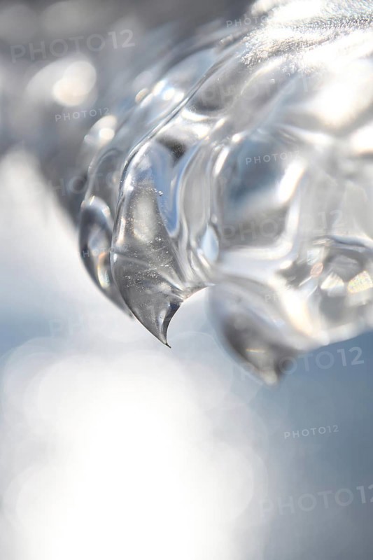Needle point... Ice tooth (winter flood and cold snap 2020, 2021), ice formed by wind, weather and floods, weather situation, Bislicher Insel near Xanten, nationally known nature reserve, Wesel district, Lower Rhine, Rhineland, North Rhine-Westphalia, Germany, Western Europe