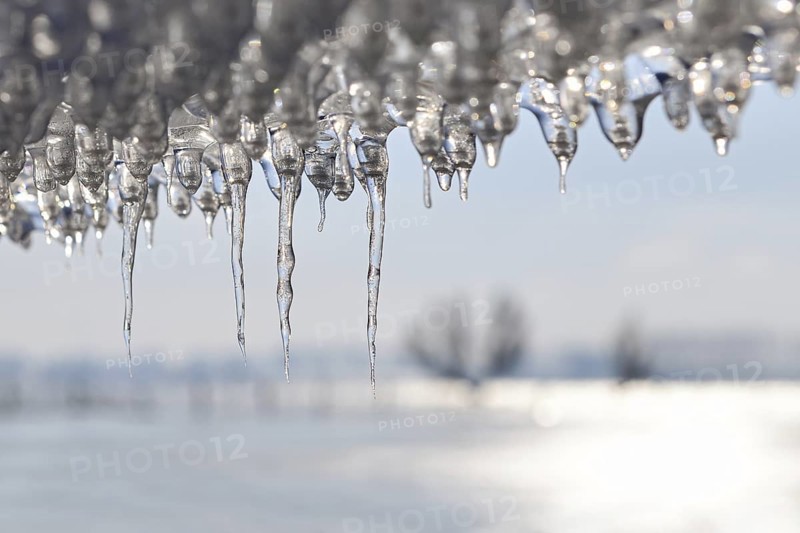 Ice age... Icicle (winter flood 2020, 2021), thawing ice plate on a barbed wire fence, Bislicher Insel near Xanten, nationally known nature reserve, Wesel district, Lower Rhine, Rhineland, North Rhine-Westphalia, Germany, Western Europe