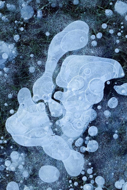 Air bubbles... Ice (winter flood 2020, 2021), ice layer with frozen air bubbles on a meadow on the Lower Rhine flooded and frozen in severe frost, fantasy, weather situation, Bislicher Insel near Xanten, nationally known nature reserve, Wesel district, Lower Rhine, Rhineland, North Rhine-Westphalia, Germany, Western Europe
