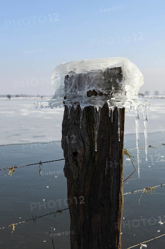 Ice cap... Ice formation (winter flood 2020, 2021), Bislicher Insel near Xanten, North Rhine-Westphalia, Germany during extreme cold for the region, nationally known nature reserve, Wesel district, Lower Rhine, Rhineland, Germany, Western Europe