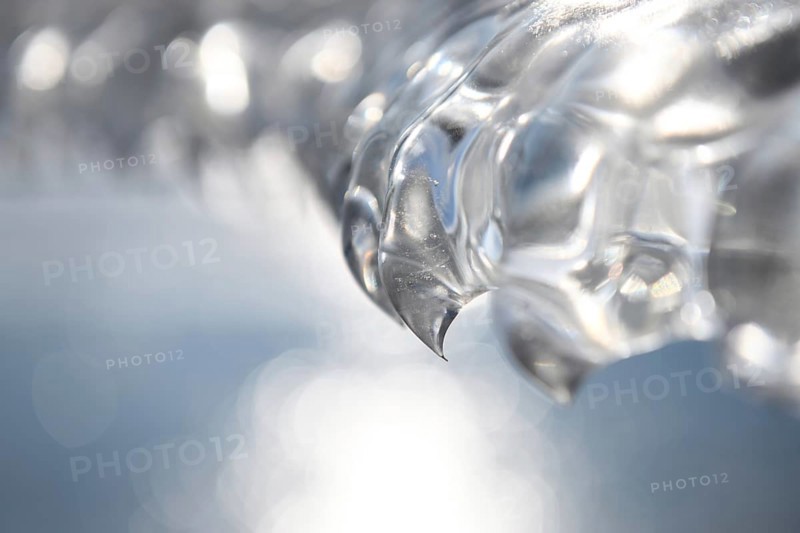 Needle point... Ice tooth (winter flood and cold snap 2020, 2021), ice formed by wind, weather and floods, weather situation, Bislicher Insel near Xanten, nationally known nature reserve, Wesel district, Lower Rhine, Rhineland, North Rhine-Westphalia, Germany, Western Europe