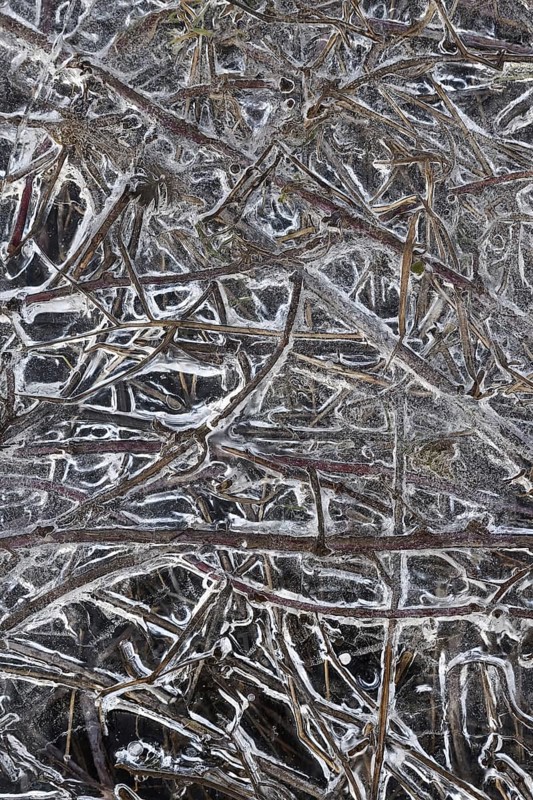 Structures in the ice... Ice formations (winter flood 2020, 2021), alluvial material frozen in the flood, grasses on the banks of the Rhine, special weather conditions, Bislicher Insel near Xanten, nationally known nature reserve, Wesel district, Lower Rhine, Rhineland, North Rhine-Westphalia, Germany, Western Europe