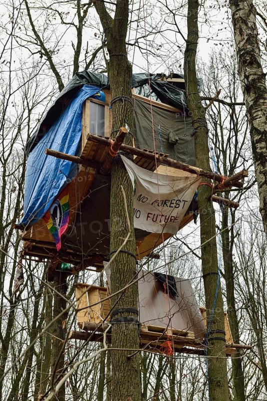 Standing up for the preservation of the forest... Tree house in Hambach Forest, environmental activists occupy trees to protest against the clearing of the forest for open-cast lignite mining. Hambach Forest became a nationally recognised symbol of resistance in the fight against climate change and global warming. For years, environmental and climate activists lived in tree houses to protest against deforestation. Hambach Forest, Düren district, North Rhine-Westphalia, Germany, Western Europe
