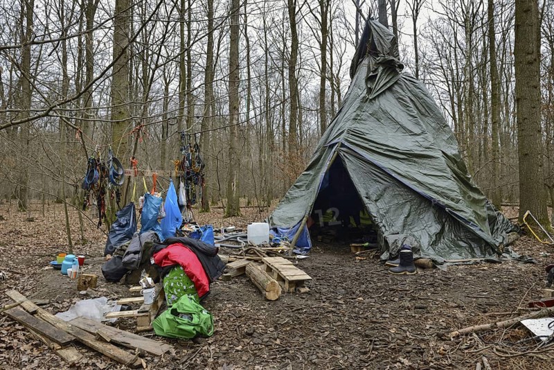 Protest camp against deforestation... Hambach Forest became a nationally recognised symbol of resistance against the expansion of lignite mining and the fight against climate change and global warming. Large parts of Hambach Forest were cleared to make way for RWE's open-cast mine. For years, environmental and climate activists lived in tree houses in the forest to protest against the deforestation. Hambach Forest, Düren district, North Rhine-Westphalia, Germany, Western Europe
