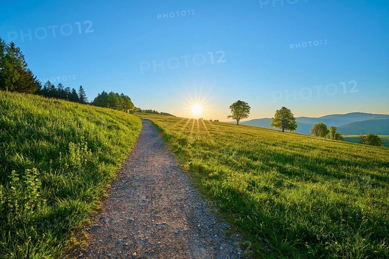 Sunset along a meadow path, trees and rolling hills in the background, spring, Schauinsland, Freiburg im Breisgau, Black Forest, Baden-Württemberg, Germany