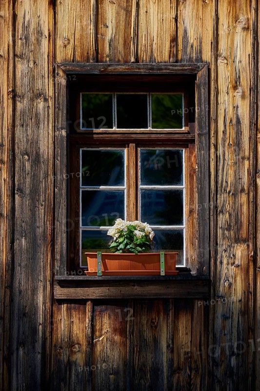 Rustic wooden window with flower box full of flowers in natural light, Triberg im Schwarzwald, Schwarzwald-Baar-Kreis, Black Forest, Baden-Württemberg, Germany