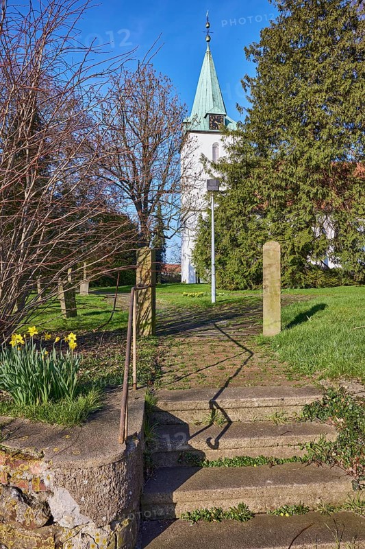 Evangelical Lutheran Church Hille, daffodil (Narcissus pseudonarcissus), wall, stairs, bare winter trees, blue cloudless sky, Eickhorster Straße, Hille, Mühlenkreis Minden-Lübbecke, North Rhine-Westphalia, Germany