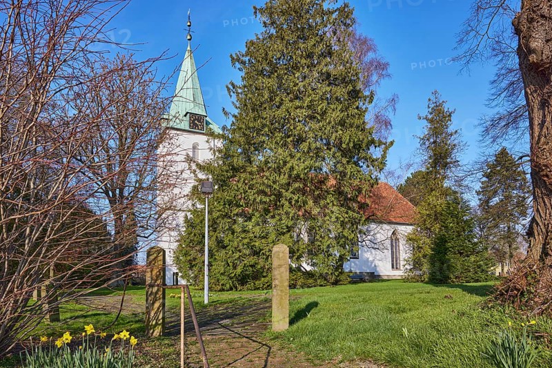 Evangelical Lutheran Church Hille, bare winter trees, blue cloudless sky, Eickhorster Straße, Hille, Mühlenkreis Minden-Lübbecke, North Rhine-Westphalia, Germany